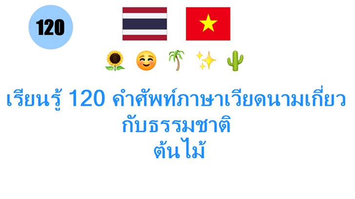 เรียนรู้ 120 คำศัพท์ภาษาเวียดนามเกี่ยวกับธรรมชาติ: ต้นไม้